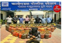 घरगुती गॅसचा काळाबाजार उघडकीस, काळेपडळ पोलिसांची धडक कारवाई : १०३ गॅस सिलेंडरसह एक जण ताब्यात, लाखोंचा मुद्देमाल जप्त.